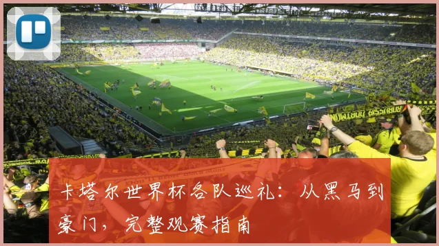 卡塔尔世界杯各队巡礼：从黑马到豪门，完整观赛指南