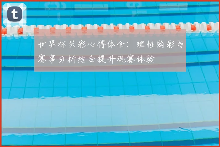 世界杯买彩心得体会：理性购彩与赛事分析结合提升观赛体验