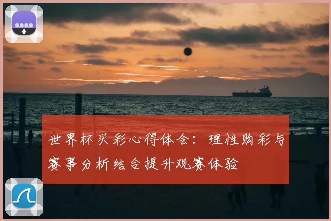 世界杯买彩心得体会：理性购彩与赛事分析结合提升观赛体验