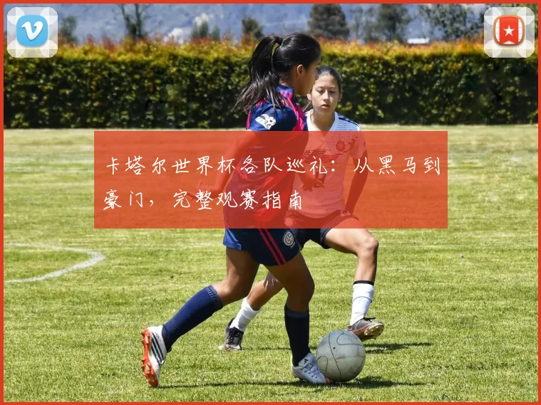 卡塔尔世界杯各队巡礼：从黑马到豪门，完整观赛指南