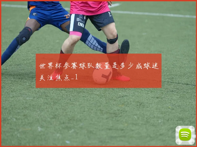 世界杯参赛球队数量是多少成球迷关注焦点_1