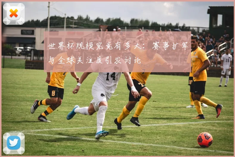 世界杯规模究竟有多大：赛事扩军与全球关注度引发讨论